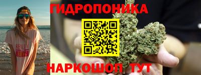спайс Будённовск
