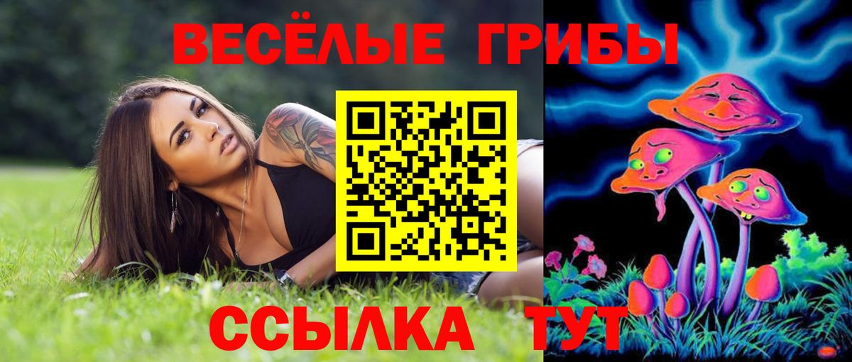 Псилоцибиновые грибы мицелий Кудымкар